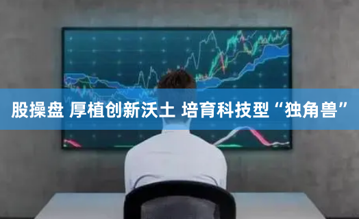 股操盘 厚植创新沃土 培育科技型“独角兽”