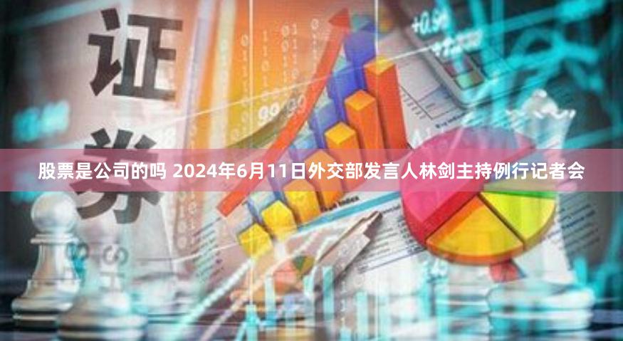 股票是公司的吗 2024年6月11日外交部发言人林剑主持例行记者会