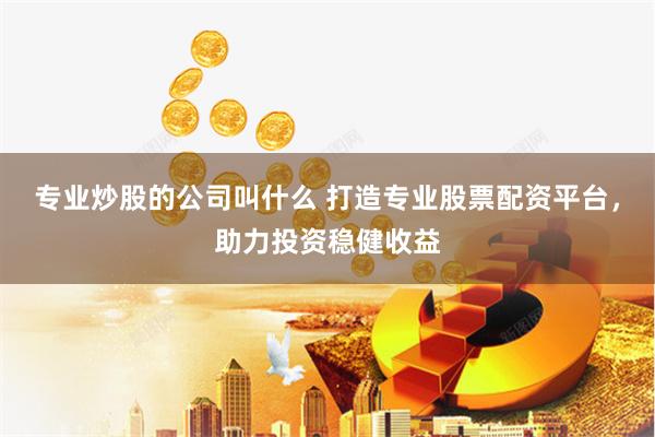 专业炒股的公司叫什么 打造专业股票配资平台，助力投资稳健收益